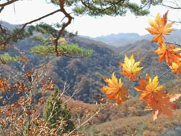 兰成国边润文最新消息