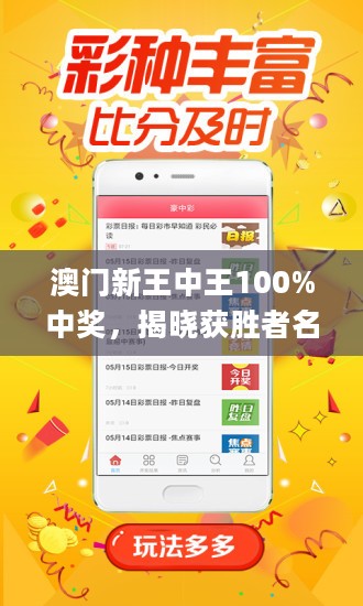 新澳门王中王100%期期中2025，实用释义解释落实