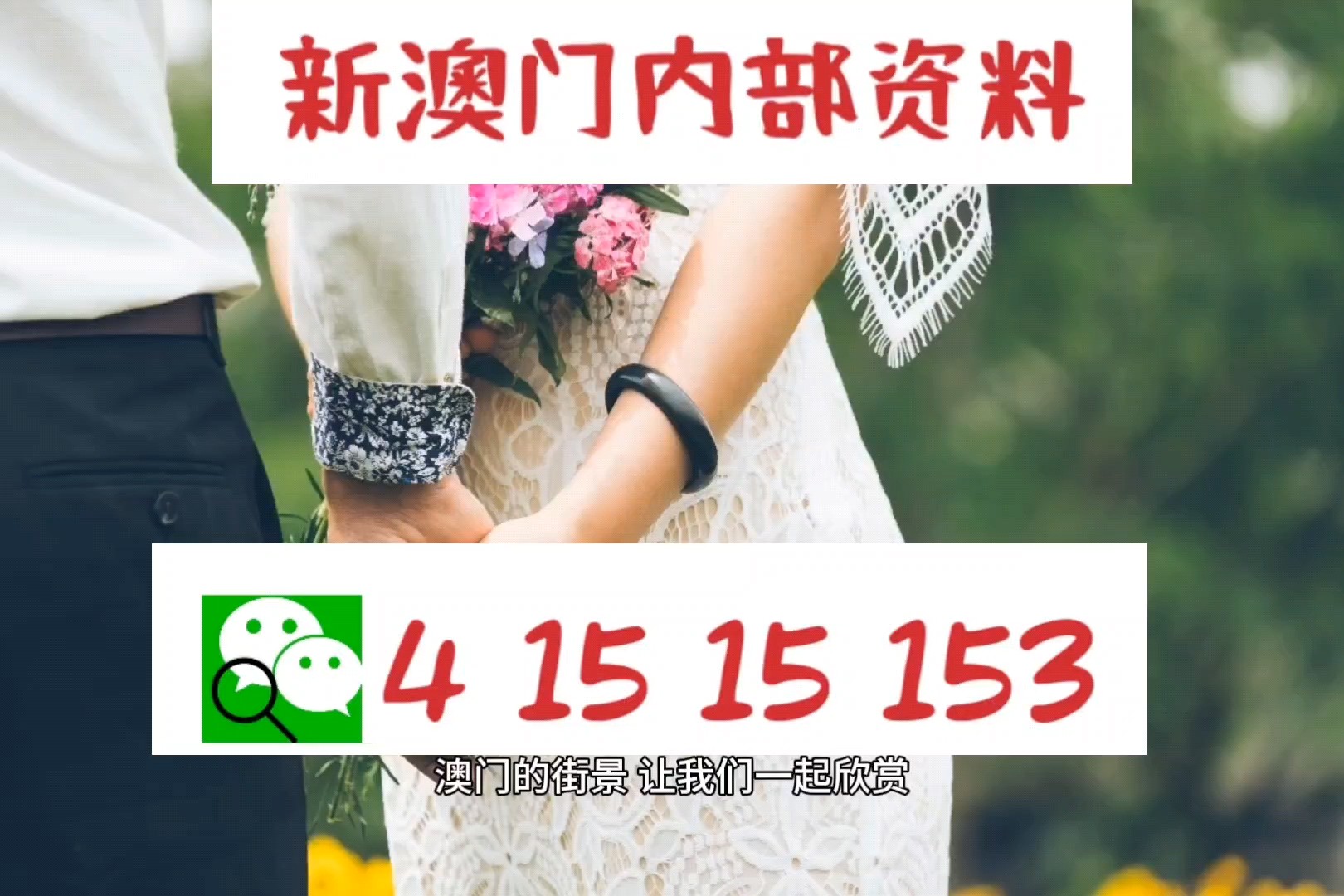 新澳门免费资料大金精准版2025澳，精选解析解释落实